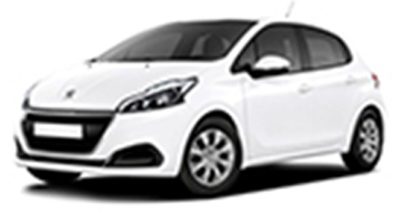 peugeot 208 2 places